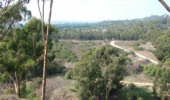 whittier2